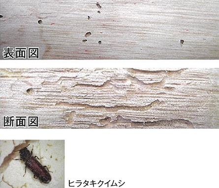 防虫効果